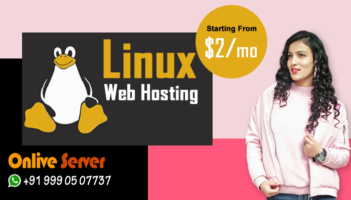 5 Easy Ways You Can Turn Linux Web Hosting into Success